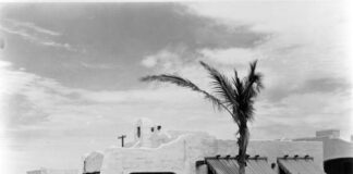 241 Palmetto Dr. by Ken Wilde, Historian Miami Springs Historical Society