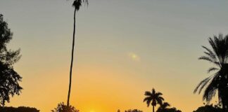 $3.8 Million Golf Course Renovation Reopening Delayed Miami Spring Golf Course