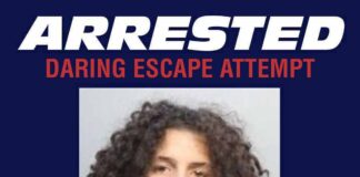 Suspect Arrested After Bold Attempt to Evade Law Enforcement