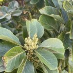 18032129599850174_miamispringsfl