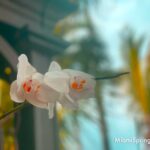 18118980340315375_miamispringsfl