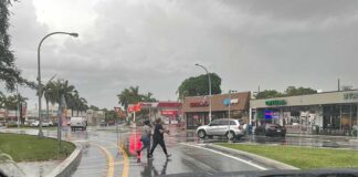 Improve Pedestrian Access to the Circle Pedestrians crossing from the Circle in Miami Springs