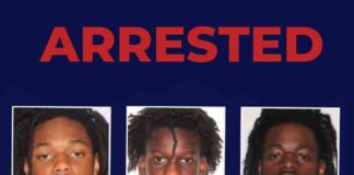 Swift Action Leads to Arrest of Construction Site Thieves