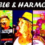 18446553190026964_miamispringsfl