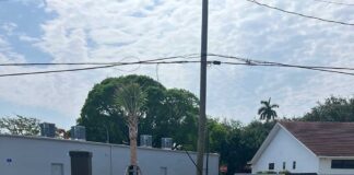 Lux Living in Downtown Miami Springs Upgraded with Electric Charging and Plentiful Parking New Charging Stations at 29 Palmetto Drive