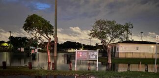 Tropical Deluge Leaves Springs Soggy