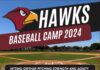 Hawks Baseball Camp 2024