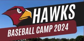 Hawks Baseball Camp 2024
