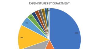 Proposed Fiscal Budget from the City Administration
