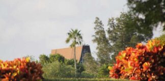 Hedge Restrictions are Back Hedges overlooking Miami Springs Baptist Church