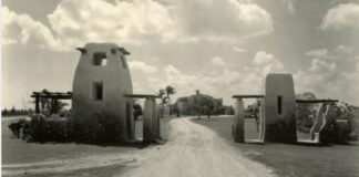 Muscovy Ducks At The Historic Curtiss Mansion In Miami Springs 1928-2024 By Ken Wilde