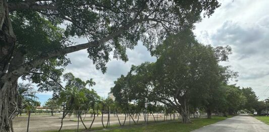 Eastern Miami Springs Parking Lot