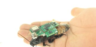Cyborg Cockroaches Can Be a Good Thing
