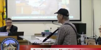 In Miami Springs by Buzz Fleischman