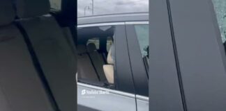 Vehicle Vandalized at Airport Cafe & Liquors on NW 36th Street