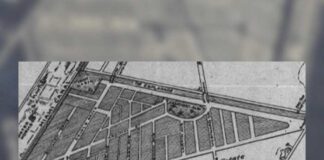 Naming The Bird Streets in Miami Springs by Ken Wilde