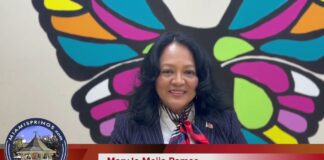 Interview with MaryJo Mejia Ramos Candidate for City Council