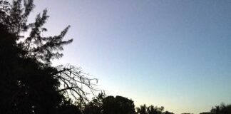 Ecology Board Presents Recommendations for Lake Improvements Persch Lake on Hammond Drive