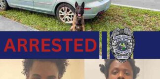 Miami Springs Police Department’s K9 Gunther Sniffs Out Major Bust