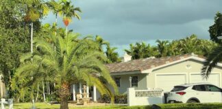 Southern Life Shares an Outside Perspective on Miami Springs