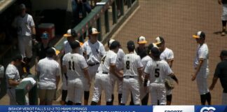 Hawks in State Championship Game