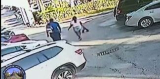 Video: Love Triangle Turns Hairy…Woman Arrested