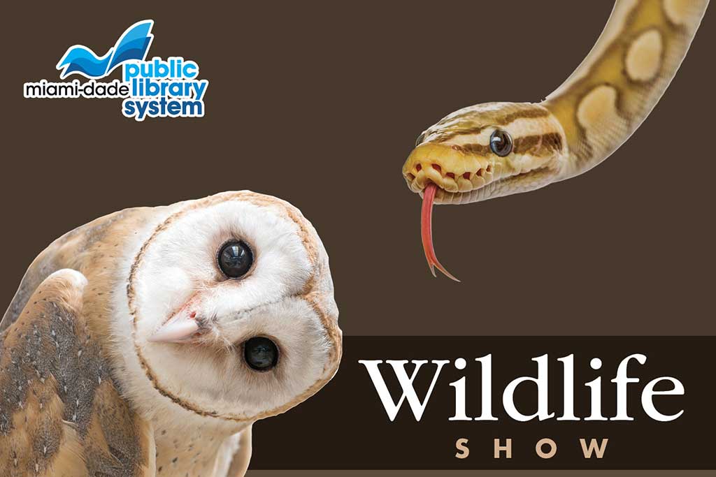 Wildlife Show