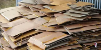 Are We Hunting And Gathering Much Beloved Cardboard?