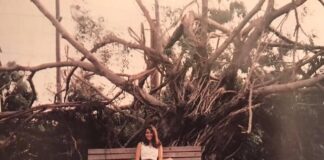 Hurricane Andrew 33rd Anniversary by Ken Wilde