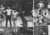 1960 Summertime Fun on the Ludlam Canal Rope Swing  by Ken Wilde