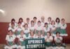 The Springs Stompers by Ken Wilde
