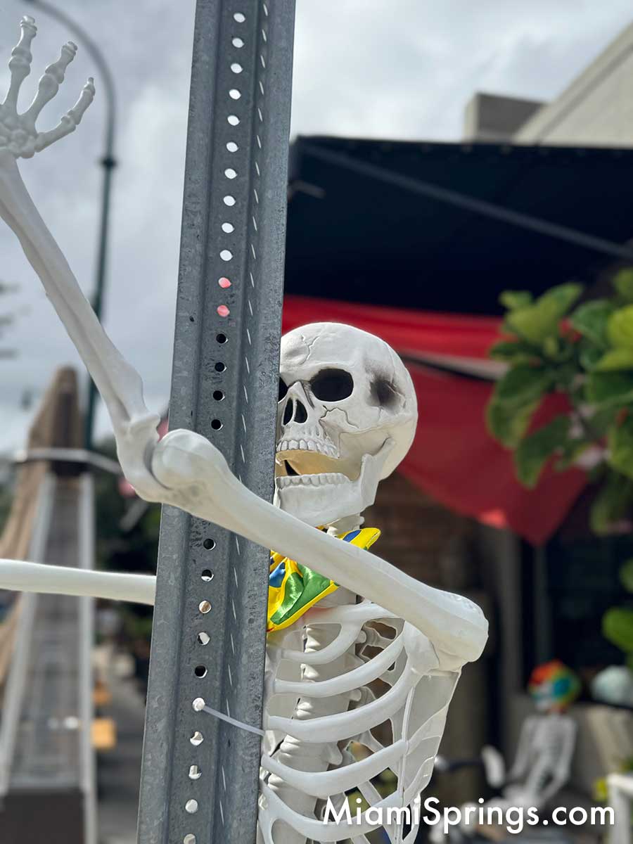 Howl-o-Springs Halloween on the Circle Event