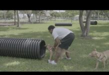 First Time at Miami Springs Dog Park