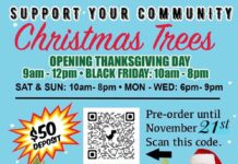 Christmas Tree Sale Starts Online