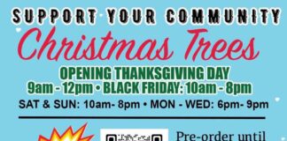 Christmas Tree Sale Starts Online