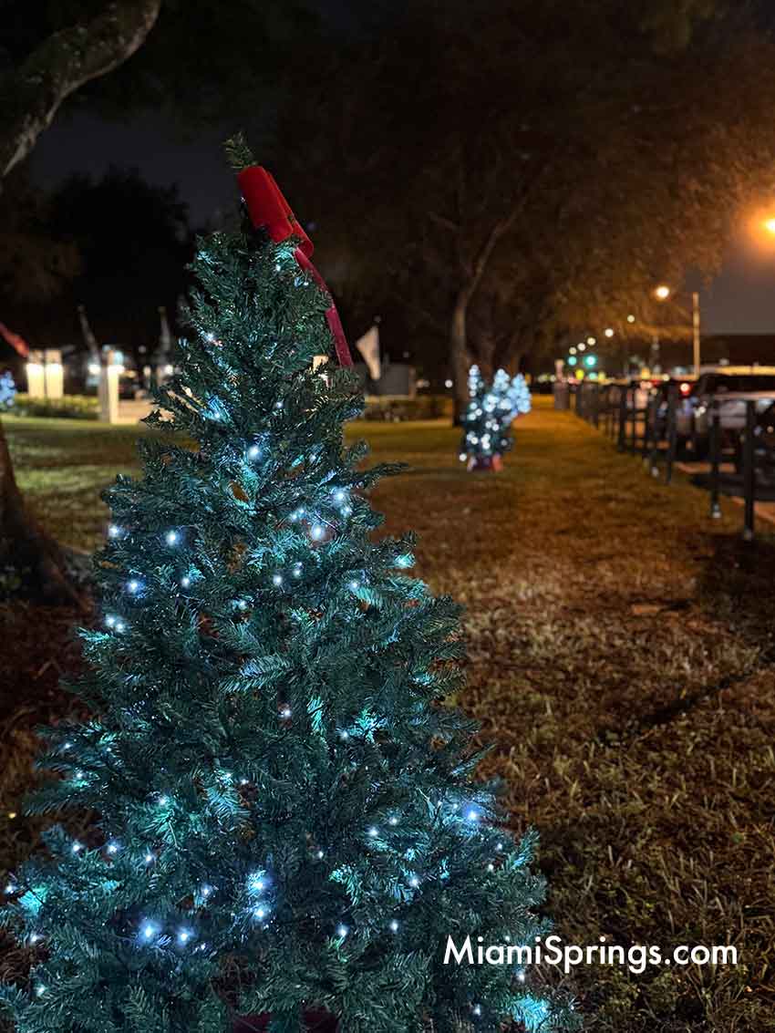 Christmas Trees along Curtiss Parkway