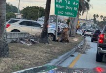 Eastbound 36 Street Shutdown SUV vs tree on 36th Street