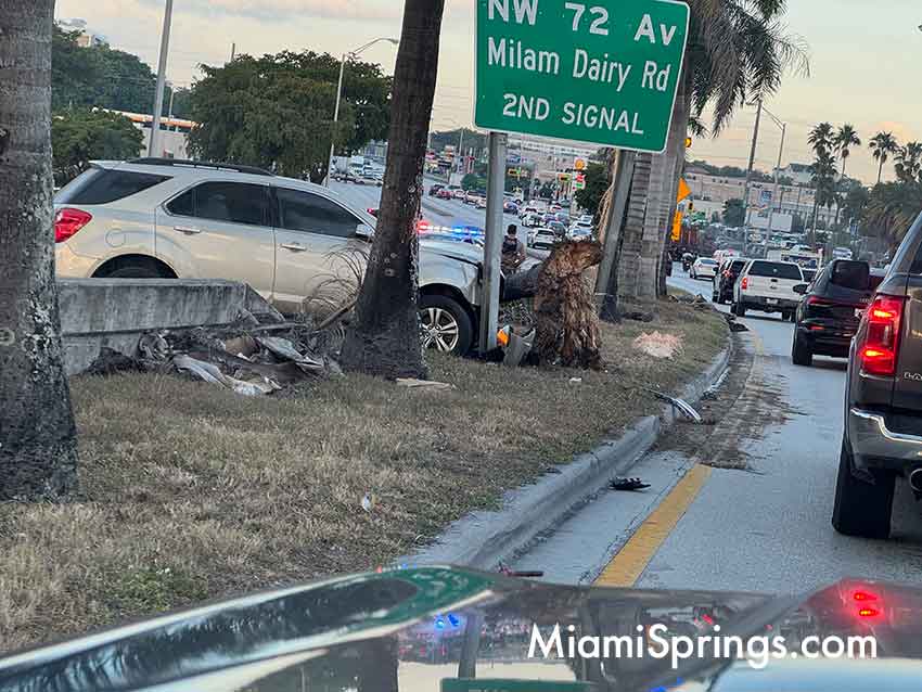 SUV vs tree on 36th Street