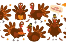 Stuff the Turkey or Stuff Yourself? You Decide!