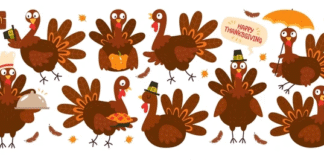 Stuff the Turkey or Stuff Yourself? You Decide!