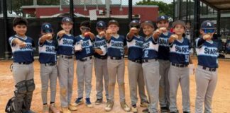 Little League River Sharks Win SFA Championship Photo Credit: Miami Springs Little League