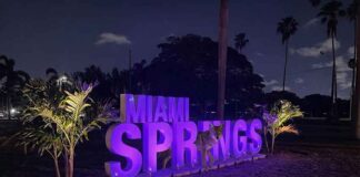 Coyote in Miami Springs Coyote in Miami Springs