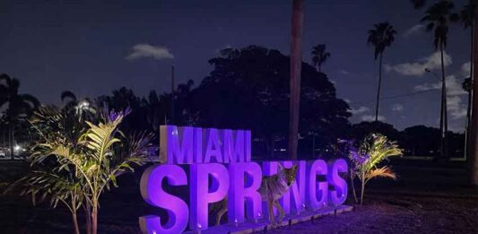 Coyote in Miami Springs