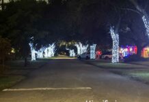 Must See Christmas Displays by Springs Residents