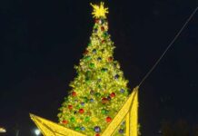 VG Holds Tree Lighting Ceremony Virginia Gardens Tree Lighting Ceremony (Photo Credit: @dannyespinod5)