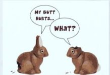 Do Not Add Chocolate To Your New Years Resolutions