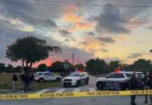 Police Investigating Alleged Sexual Assault in Bird Section