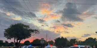 Police Investigating Alleged Sexual Assault in Bird Section