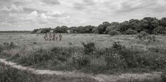 Miami Springs History Before the 1900s Tequesta Indians in Miami Springs