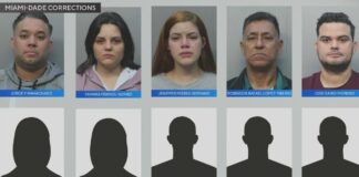 12 Arrested in Alleged Fraudulent Insurance School Scam